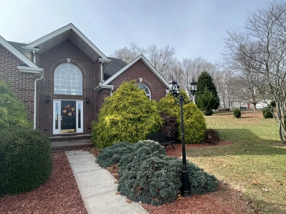 Professional yard cleanup service in Narrows, VA - GrassCuts