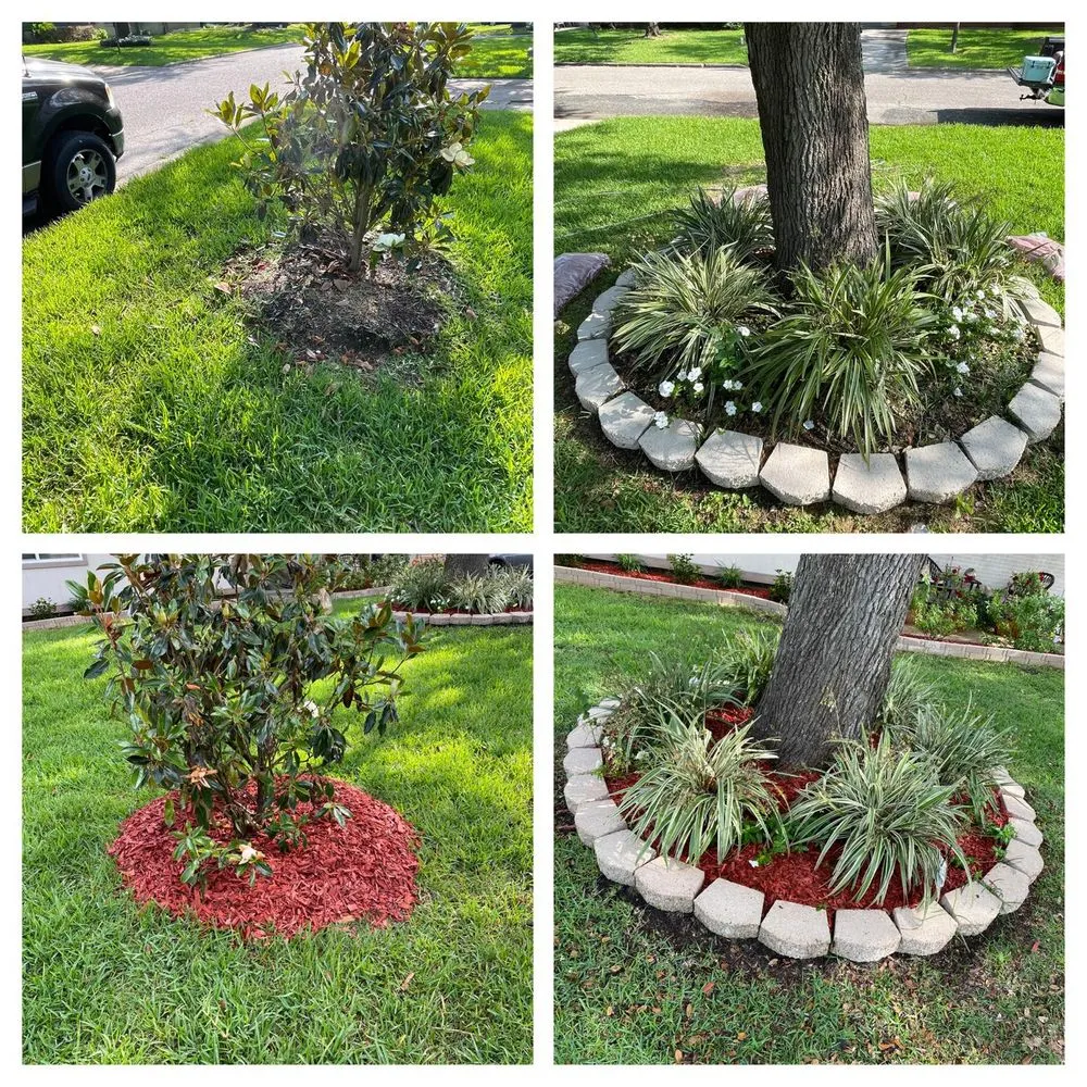 Top-rated lawn mowing service experts serving Texas City, TX - GrassCutters