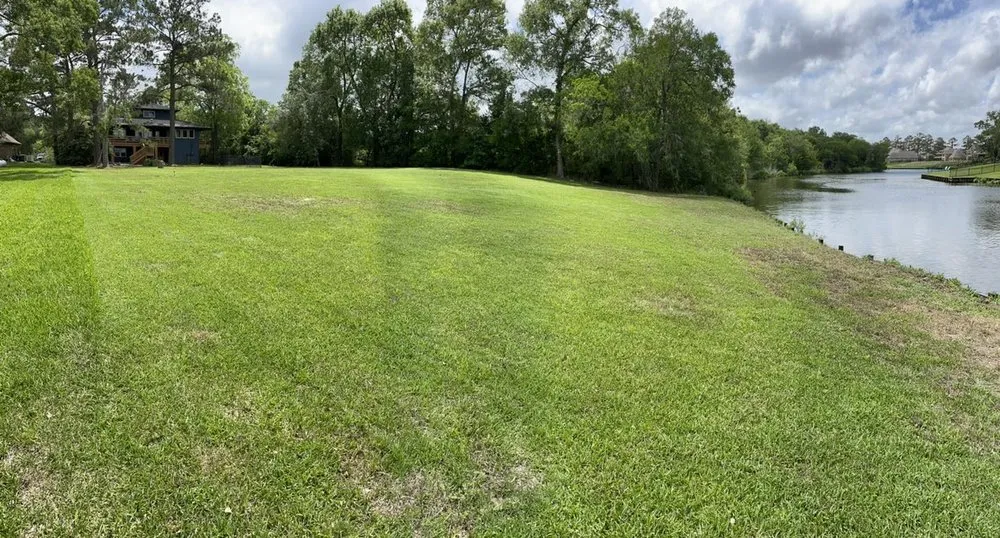 Trusted yard cleanup service experts serving Texas City, TX - GrassCutters