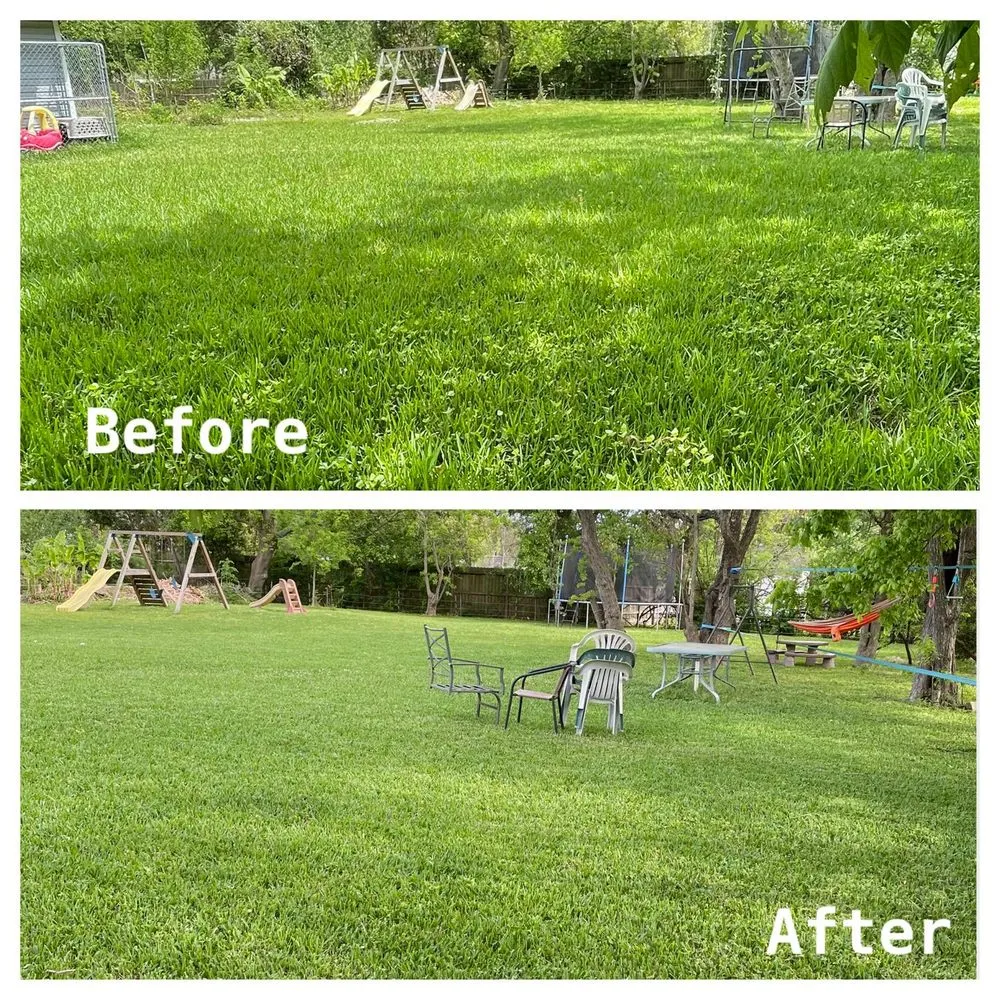 Reliable lawn care service in Texas City, TX - GrassCutters