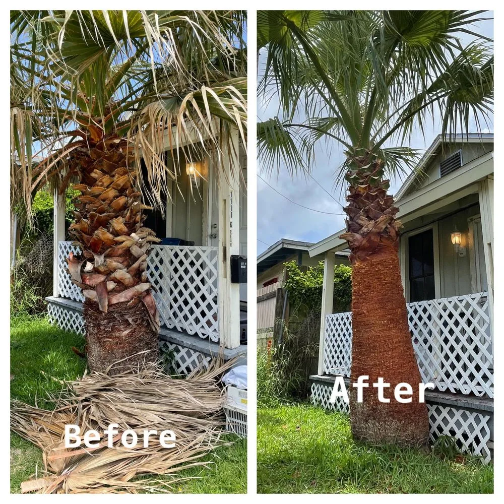 Trusted yard cleanup service in Texas City, TX by GrassCutters