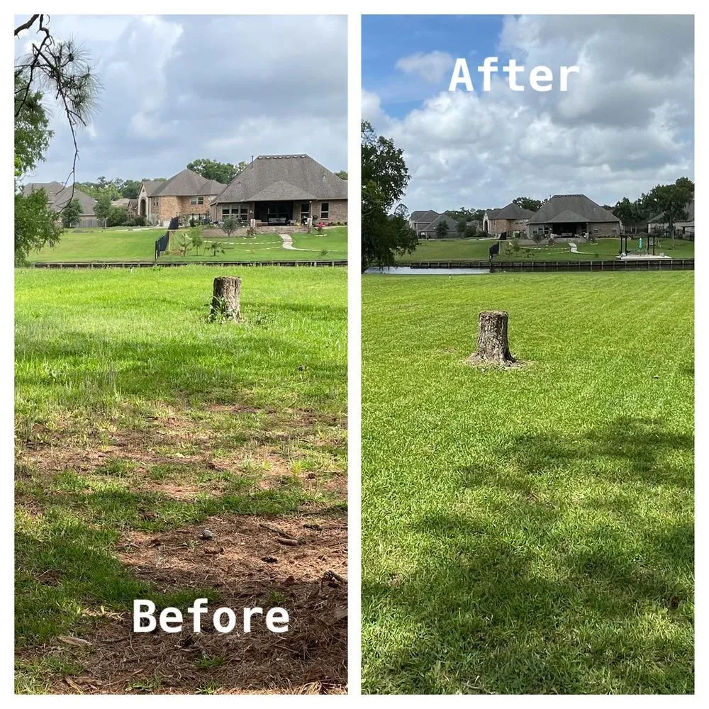 Top-rated garden landscaping in Texas City, TX - GrassCutters