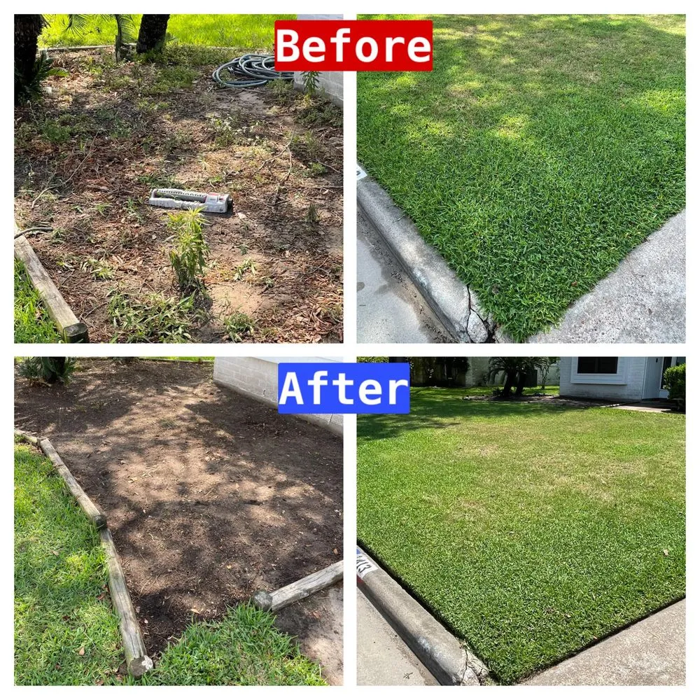 Trusted lawn mowing service in Texas City, TX - GrassCutters