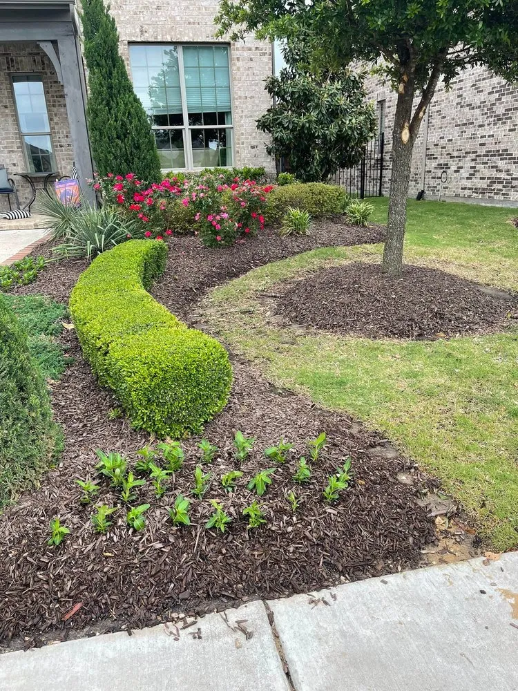Professional garden landscaping experts serving The Colony, TX - Grasscutts