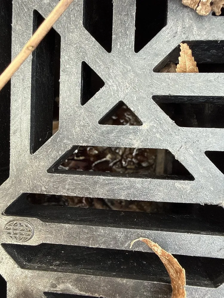 Trusted lawn mowing service in Benbrook, TX - Grasseaters