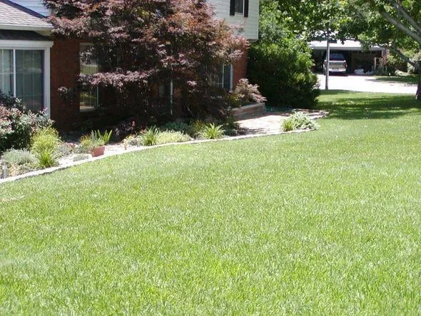 Affordable landscape installation experts serving Benbrook, TX - Grasseaters