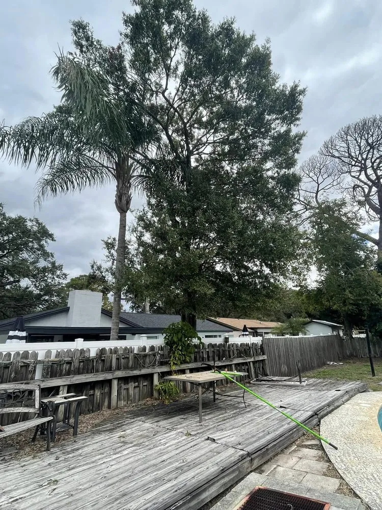 Trusted lawn care service with custom design across Tampa, FL - Grassed Up Landscaping