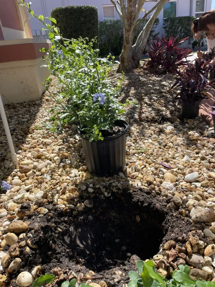 Custom lawn mowing service near you across Tampa, FL - Grassed Up Landscaping