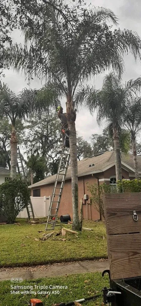 Professional landscaping services in Tampa, FL by Grassed Up Landscaping