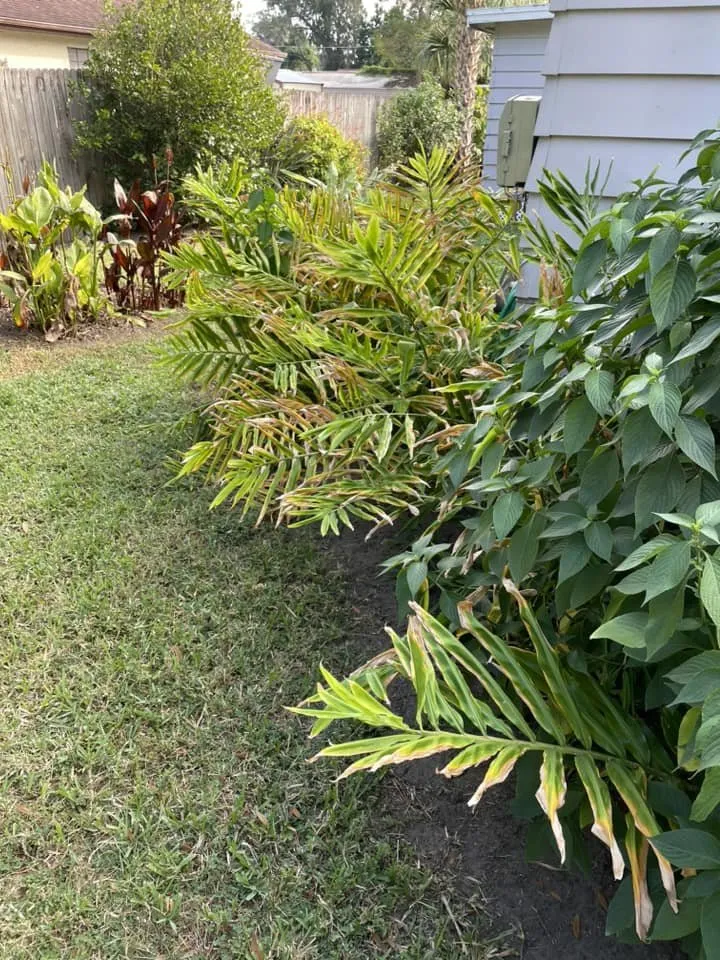 Reliable garden landscaping in Tampa, FL by Grassed Up Landscaping