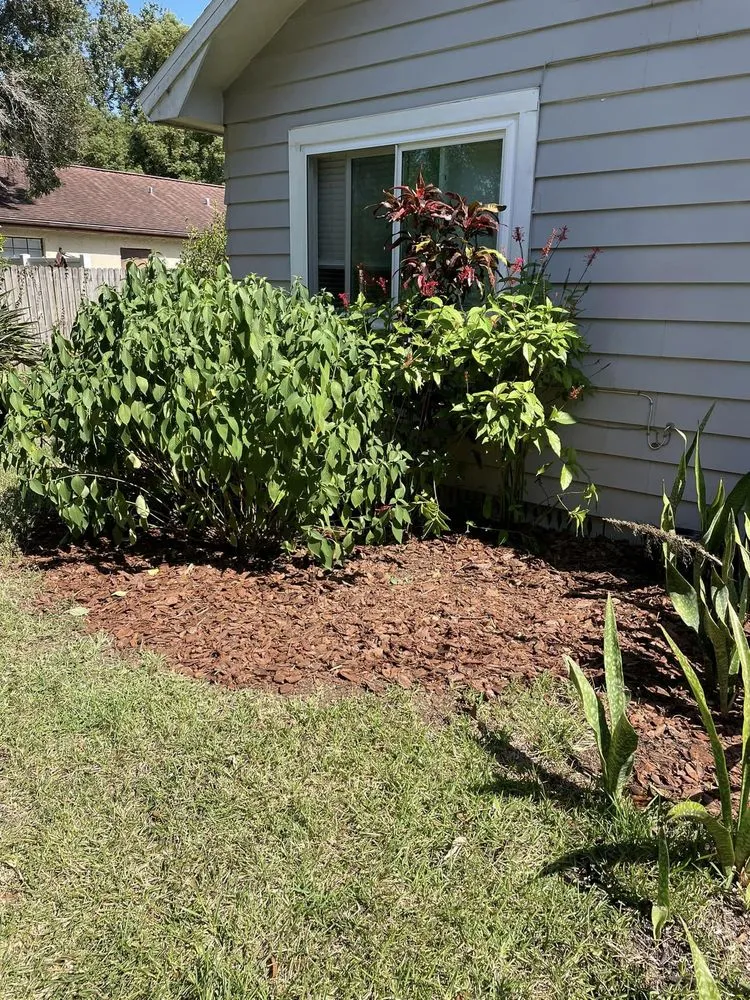 Local lawn care service in Tampa, FL - Grassed Up Landscaping