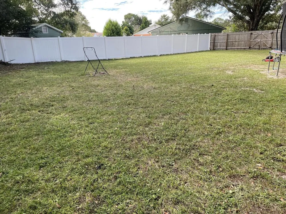 Reliable yard cleanup service in Tampa, FL - Grassed Up Landscaping