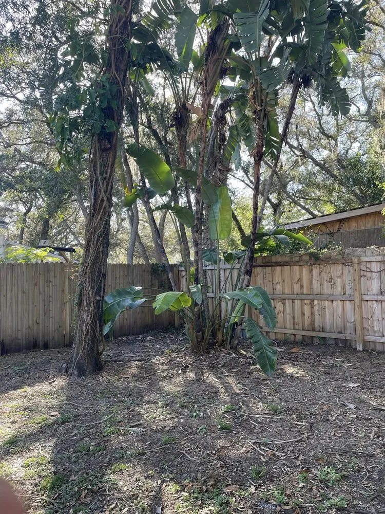 Reliable landscape design for outdoor upgrades across Tampa, FL - Grassed Up Landscaping