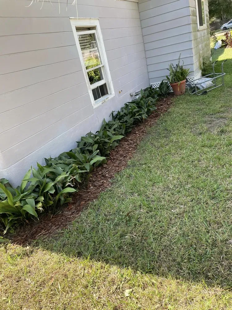 Affordable lawn mowing service in Tampa, FL by Grassed Up Landscaping