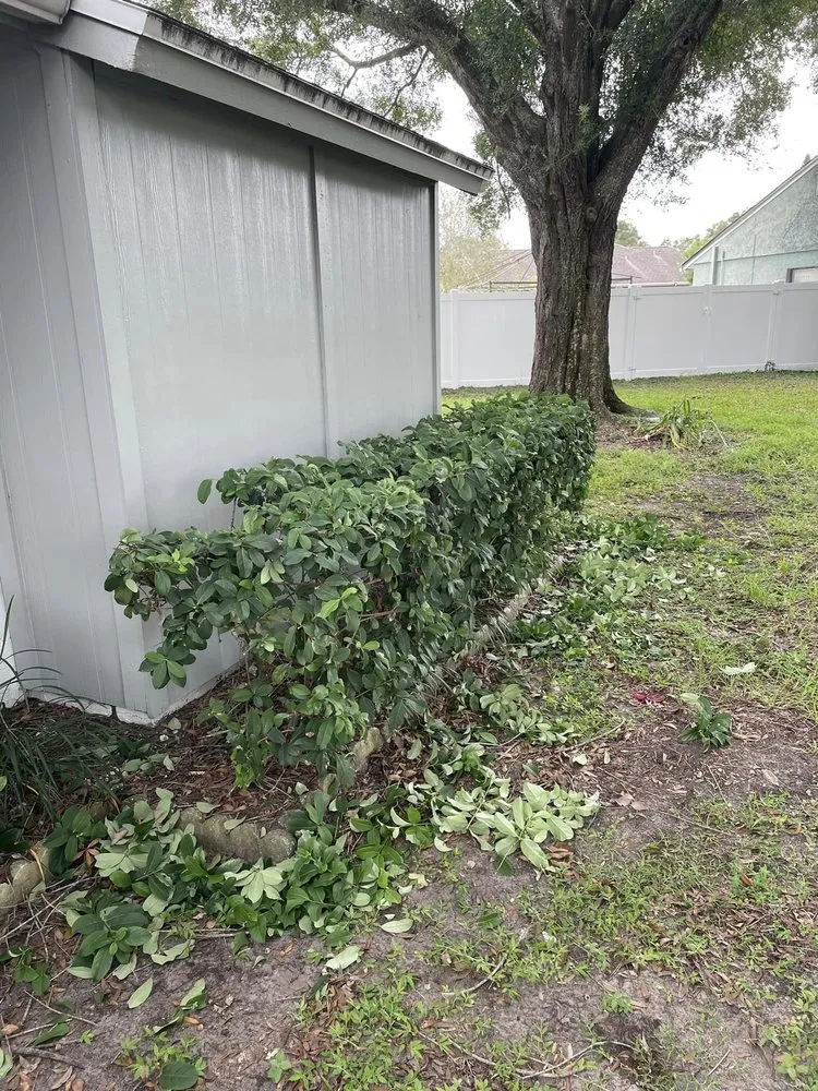 Professional landscape design in Tampa, FL by Grassed Up Landscaping