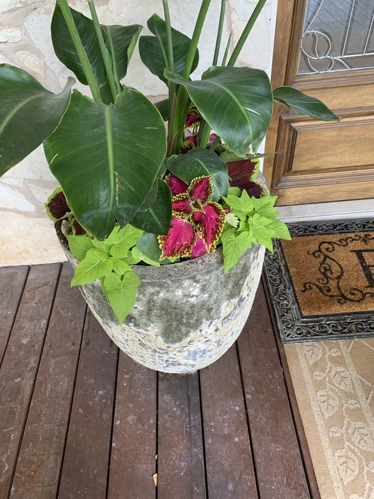 Reliable garden landscaping for beautiful yards across Midland, TX - Grassfire Lawn and Landscaping