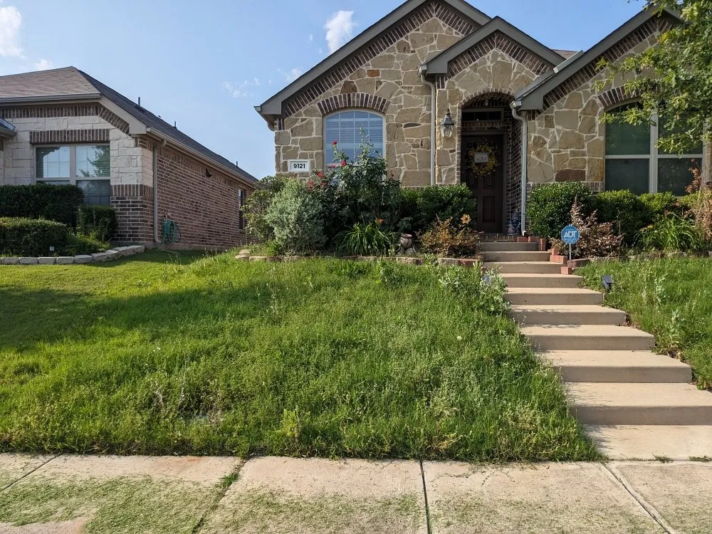 Local garden landscaping for year-round maintenance in Denton, TX by Grassguru