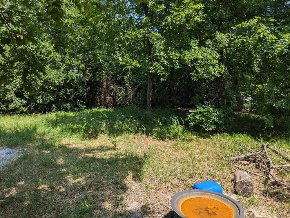 Trusted lawn mowing service in Denton, TX - Grassguru