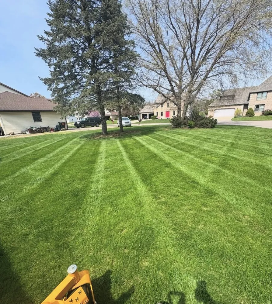Custom yard cleanup service with custom design in Elkhart, IN by GrassGurus Lawn Solutions