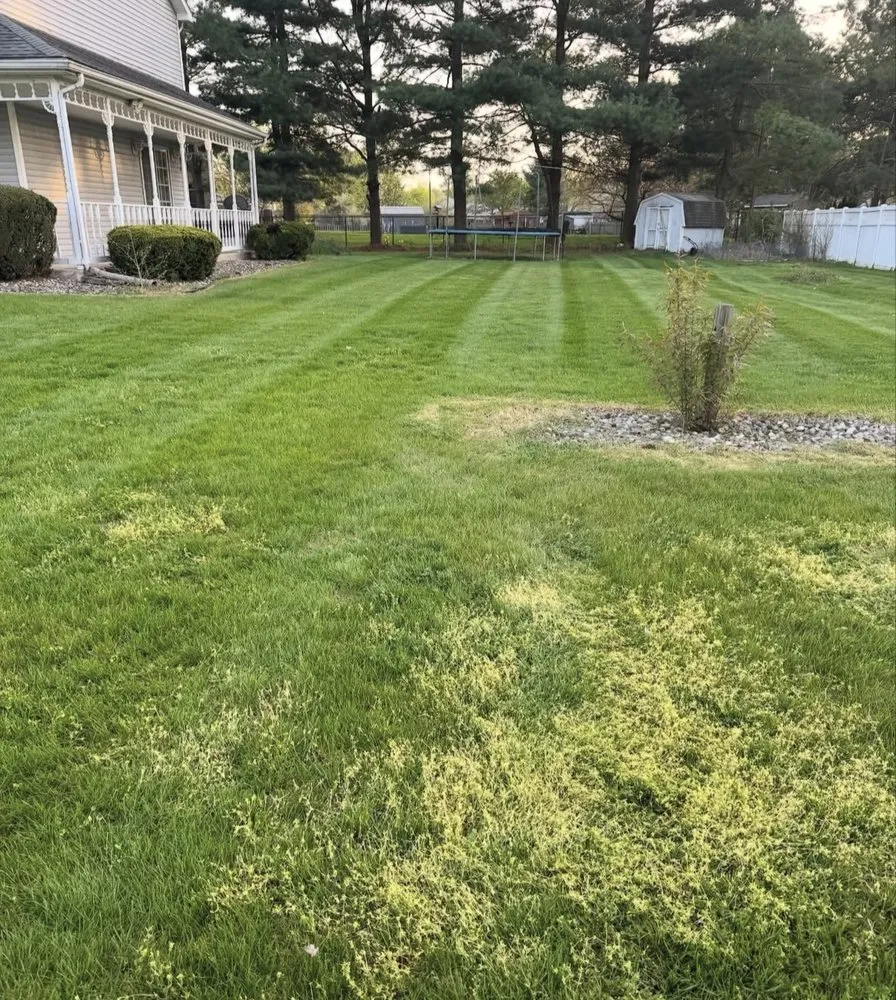 Affordable yard cleanup service with custom design in Elkhart, IN by GrassGurus Lawn Solutions