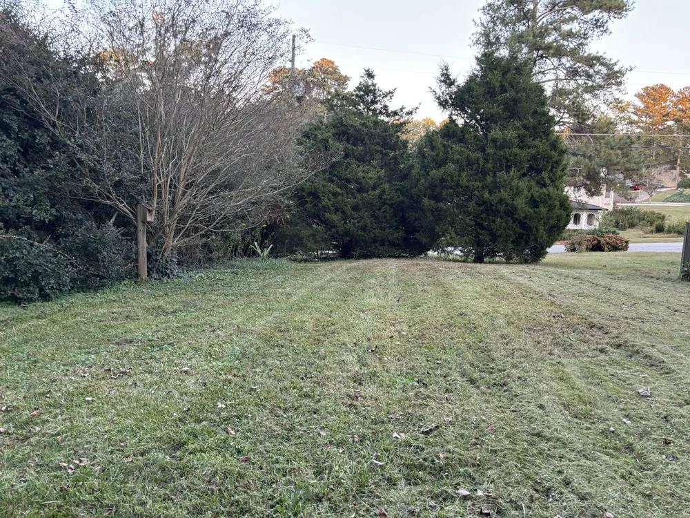 Custom landscape installation near you across Douglasville, GA - Grasshole Lawn Services