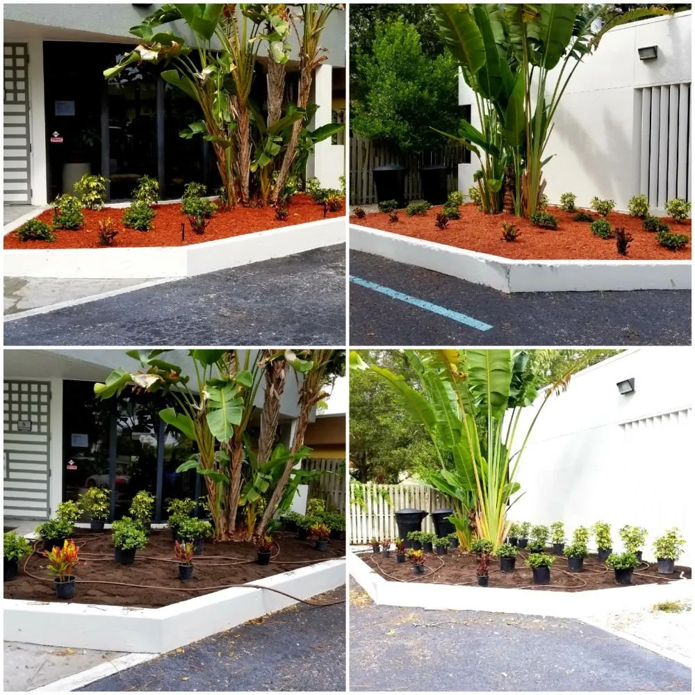 Local residential landscaping in Clearwater, FL - Grasshopper