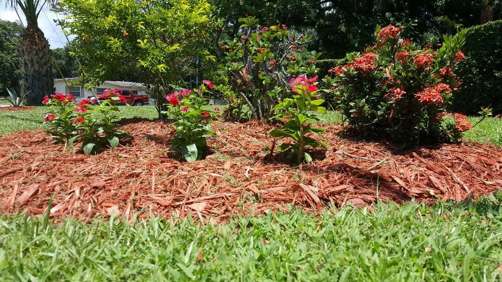 Affordable yard cleanup service near you in Clearwater, FL by Grasshopper