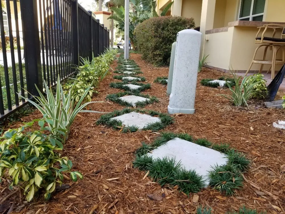 Affordable outdoor landscaping for beautiful yards in Clearwater, FL by Grasshopper