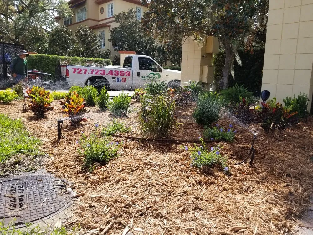 Local landscaping services experts serving Clearwater, FL - Grasshopper