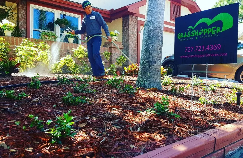 Professional lawn mowing service in Clearwater, FL - Grasshopper