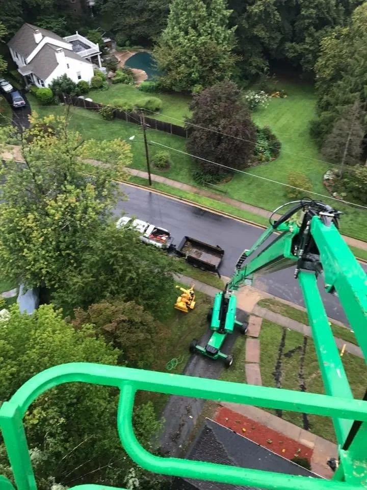 Local landscape installation for residential properties across Rixeyville, VA - Grasshopper Enterprise