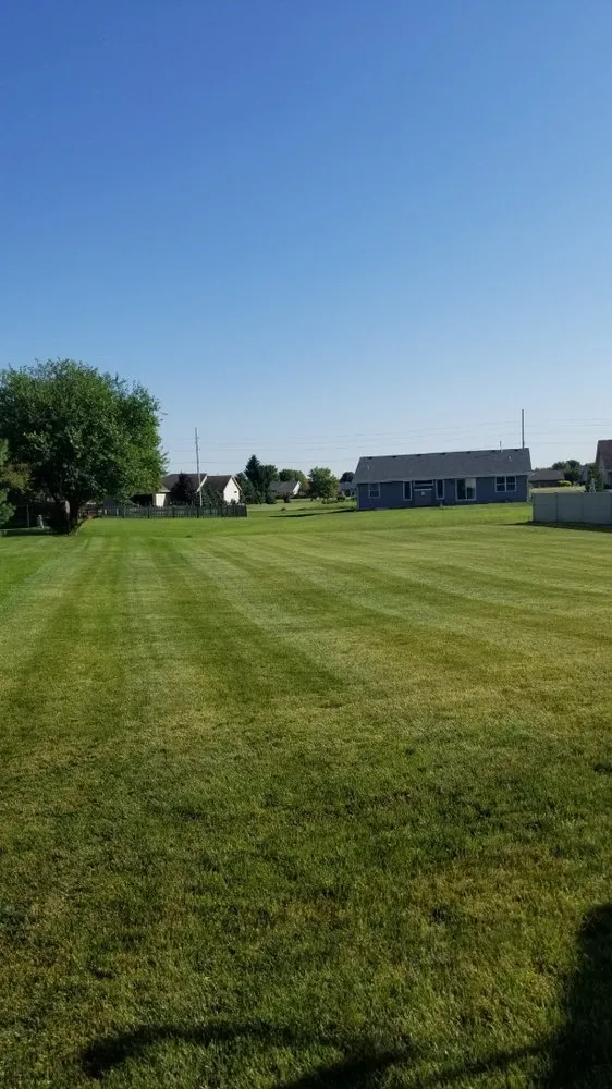 Custom lawn care service in Janesville, WI - Grasshopper Express