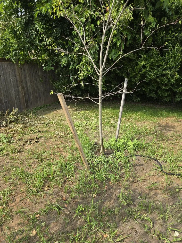 Trusted outdoor landscaping experts serving Gansevoort, NY - Grasshopper Gardens