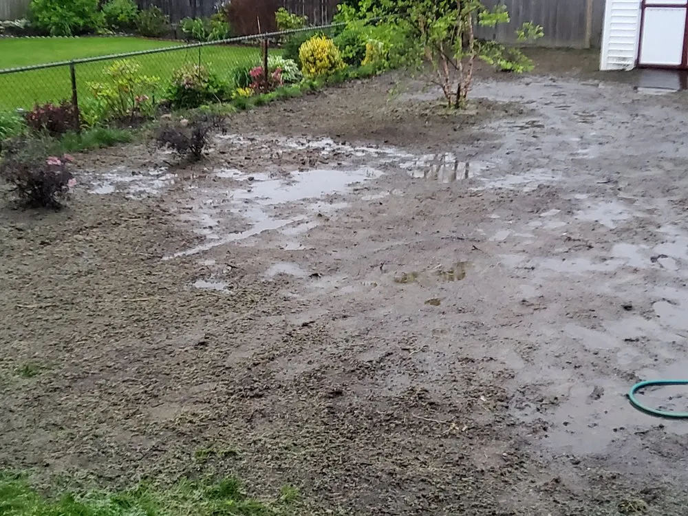 Local landscape installation experts serving Gansevoort, NY - Grasshopper Gardens