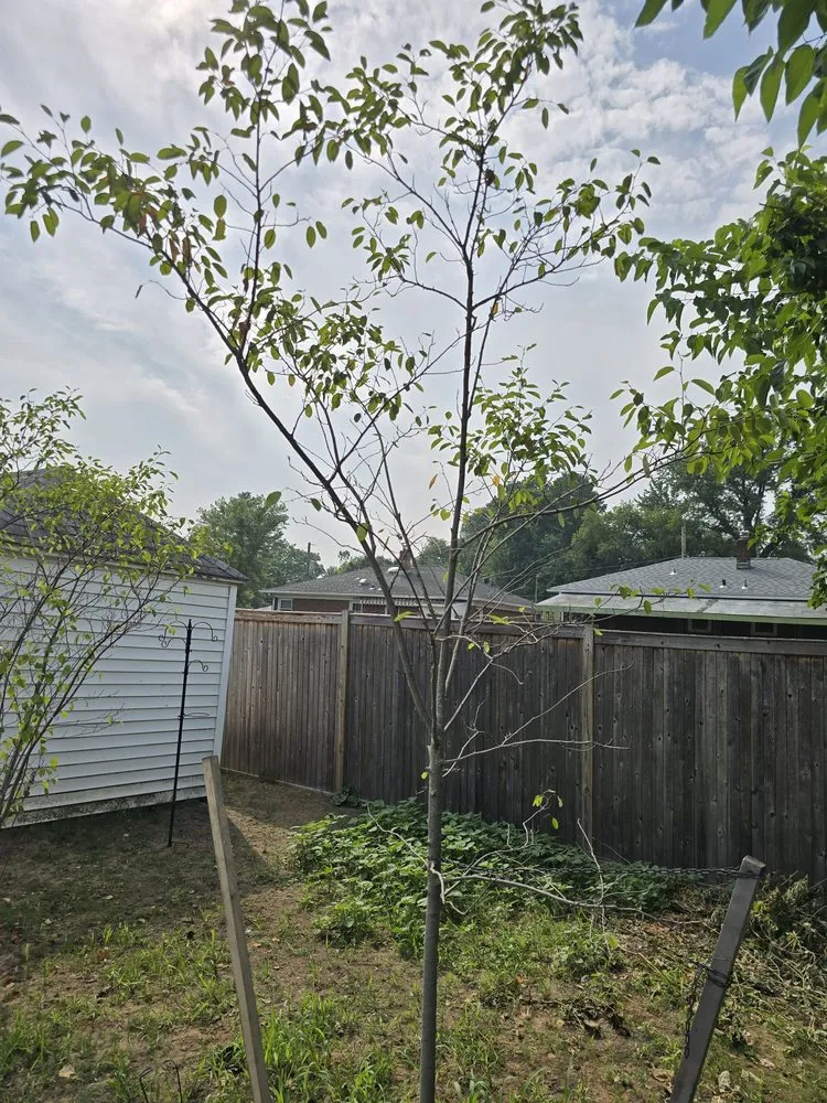 Affordable landscaping services for beautiful yards across Gansevoort, NY - Grasshopper Gardens