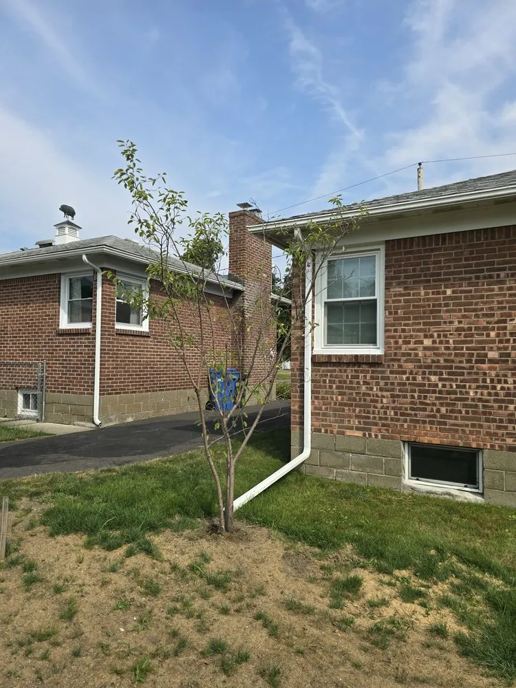 Reliable yard cleanup service in Gansevoort, NY by Grasshopper Gardens