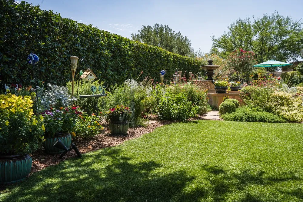 Local yard maintenance for outdoor upgrades in Huachuca City, AZ by Grasshopper Landscaping & Maintenance