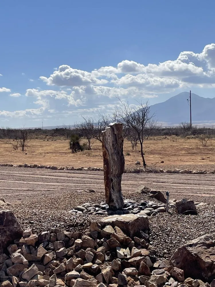 Expert landscape design for year-round maintenance in Huachuca City, AZ by Grasshopper Landscaping & Maintenance
