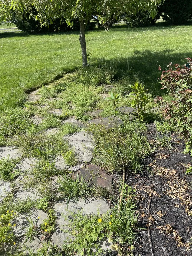 Local outdoor landscaping experts serving Chambersburg, PA - Grasshopper, Landscaping and Lawn Care