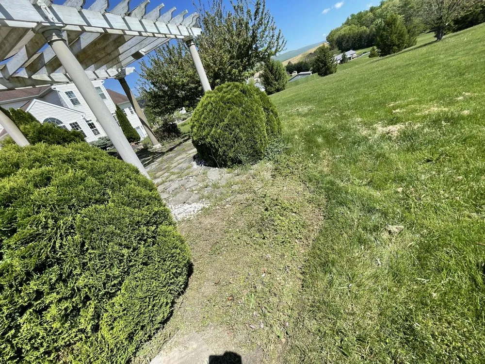 Local lawn care service in Chambersburg, PA - Grasshopper, Landscaping and Lawn Care