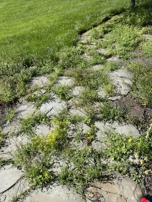 Grasshopper, Landscaping and Lawn Care