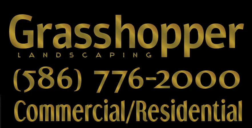 Local yard cleanup service in Roseville, MI by Grasshopper Landscaping