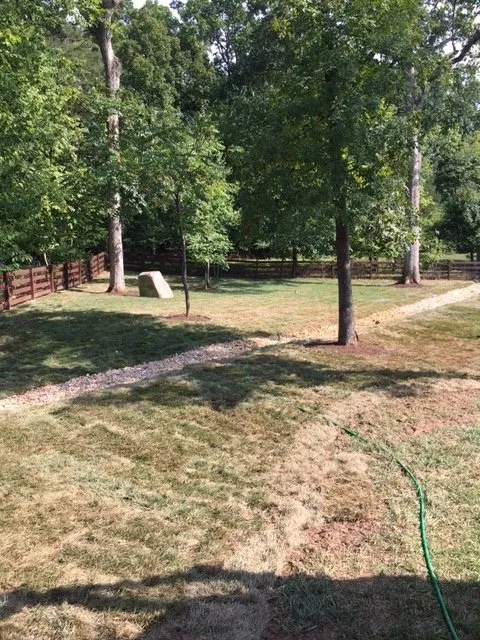 Trusted lawn mowing service for year-round maintenance in Rixeyville, VA by Grasshopper Lawn and Landscape
