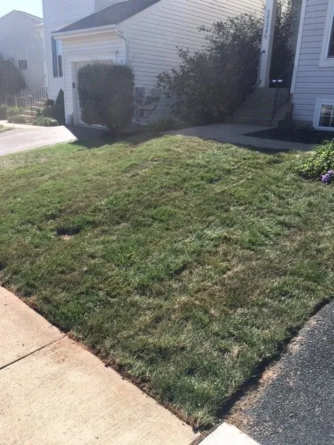 Affordable yard maintenance for year-round maintenance in Rixeyville, VA by Grasshopper Lawn and Landscape