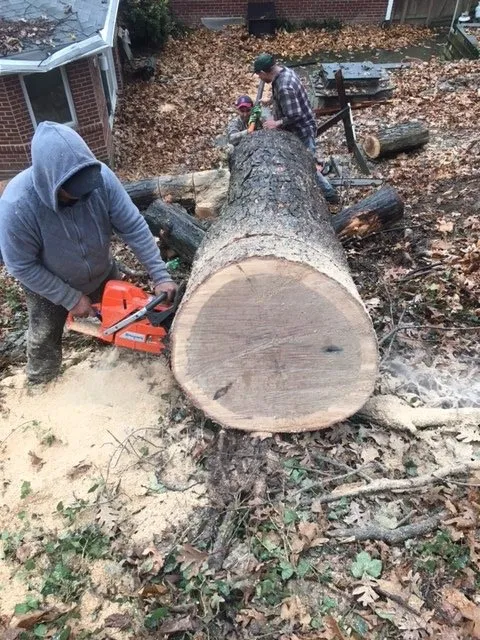 Custom yard maintenance for outdoor upgrades in Rixeyville, VA by Grasshopper Lawn and Landscape