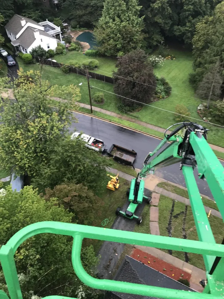 Reliable yard maintenance experts serving Rixeyville, VA - Grasshopper Lawn and Landscape