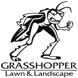 Professional landscape installation for year-round maintenance in Rixeyville, VA by Grasshopper Lawn and Landscape