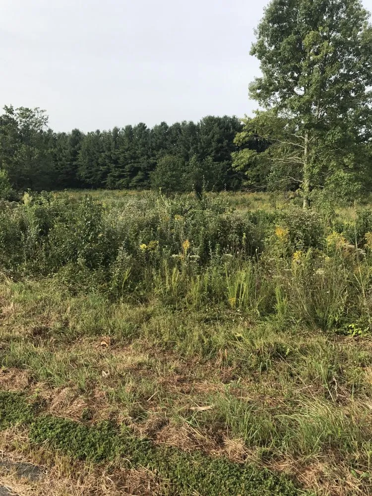 Local lawn care service for year-round maintenance in Rixeyville, VA by Grasshopper Lawn and Landscape