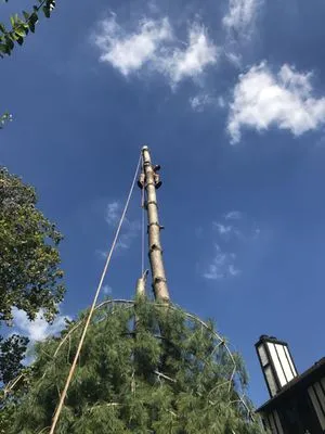 Grasshopper Lawn and Landscape Logo