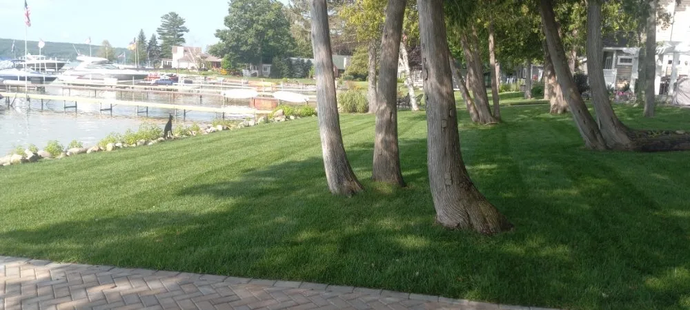 Reliable lawn care service with custom design across Boyne City, MI - Grasshopper Lawn Care